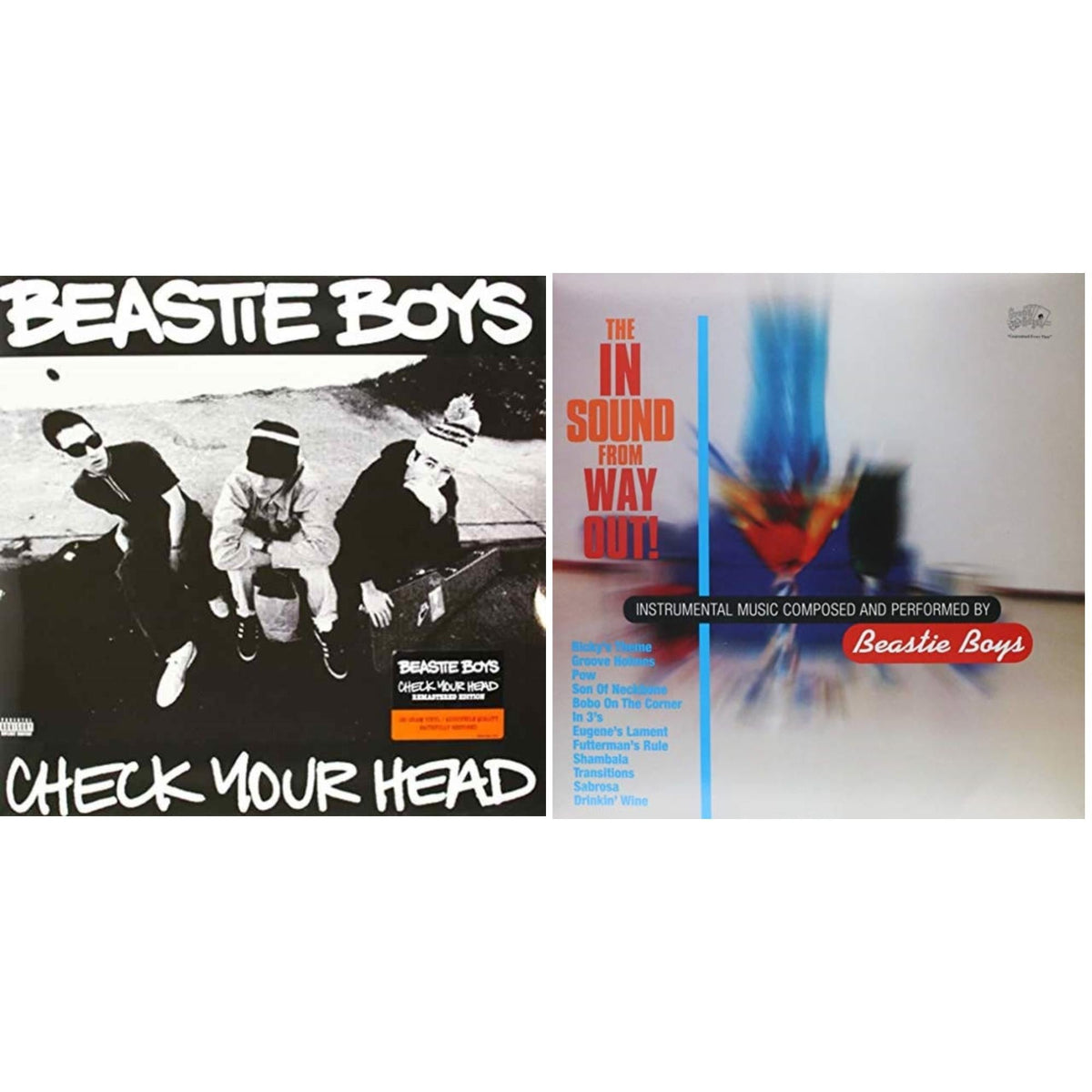 Check Your Head & In Sound From Way Out (180G)