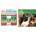 Smile Sessions & Pet Sounds (Stereo)