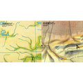 Ambient 1: Music For Airports & Ambient 4: On Land