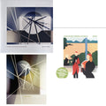 Foreverandevernomore & Forever Voiceless (Crystal Clear LP Vinyl) & Another Green World (140G/2017 Master)