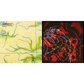 Ambient 1: Music For Airports & Nerve Net (2LP/Gatefold/Dl)