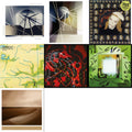 Brian Eno - Foreverandevernomore & Forever Voiceless (Crystal Clear LP Vinyl) & Taking Tiger Mountain (By Strategy) (140G/2017 Master) & Ambient 1: Music For Airports & Nerve Net (2LP/Gatefold/Dl) & Shutov Assembly (2LP/Gatefold/Dl) & Small Craft On
