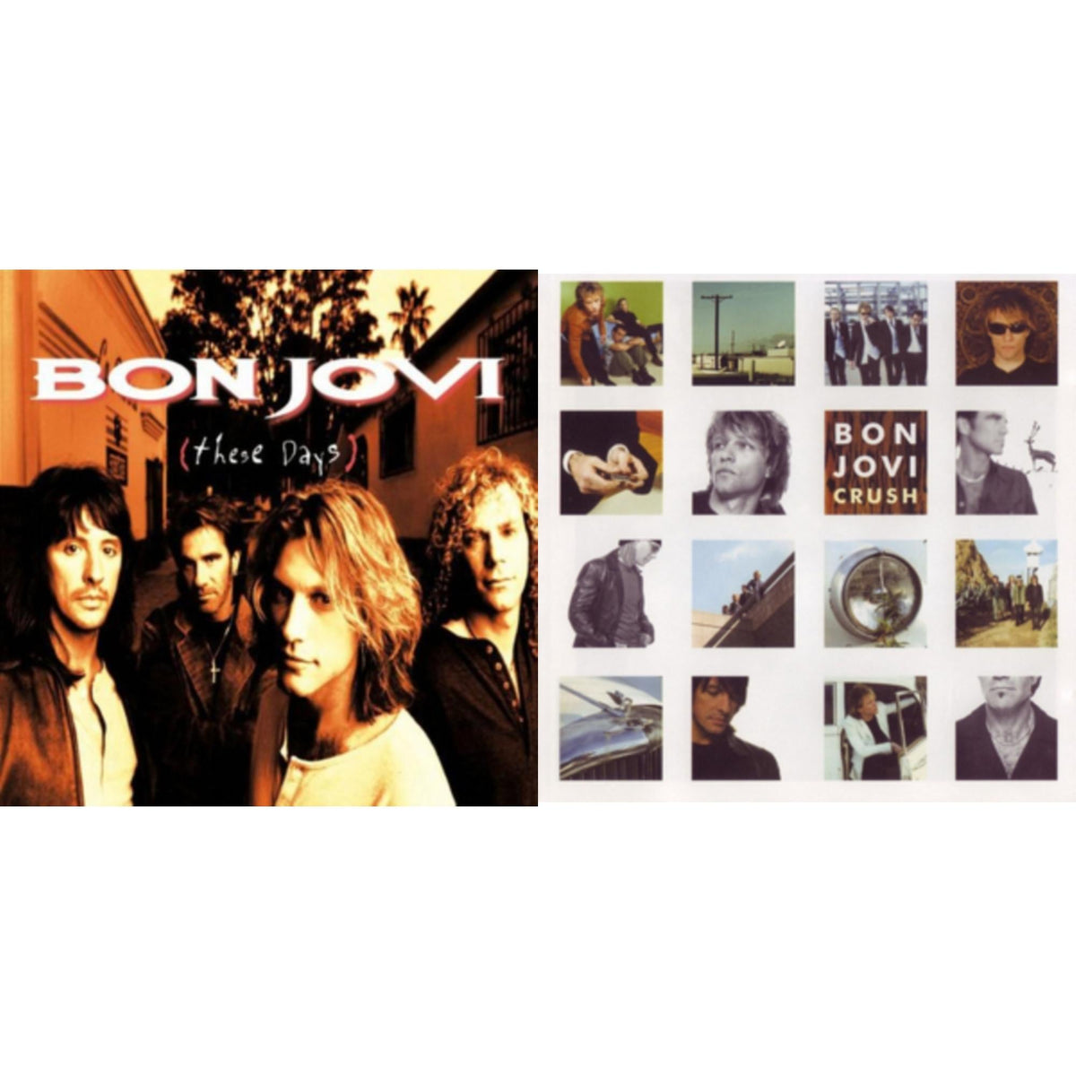 This is a 2 LP Vinyl SKU bundle.
1.This LP Vinyl is brand new.Format: LP VinylMusic Style: Pop RockThis item's title is: These Days (180G)Artist: Bon JoviLabel: ISLAND/UMEBarcode: 602547029454Release Date: 11/4/2016
2.This LP Vinyl is brand new.