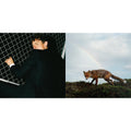 The Mirror (Clear LP Vinyl) & Buck Meek (Dl Code)