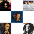 Natty Dread (180G) & Legend - The Best Of Bob Marley & The Wailers (2LP) & Legend (Picture Disc) & Babylon By Bus & Kaya 40 (2LP)