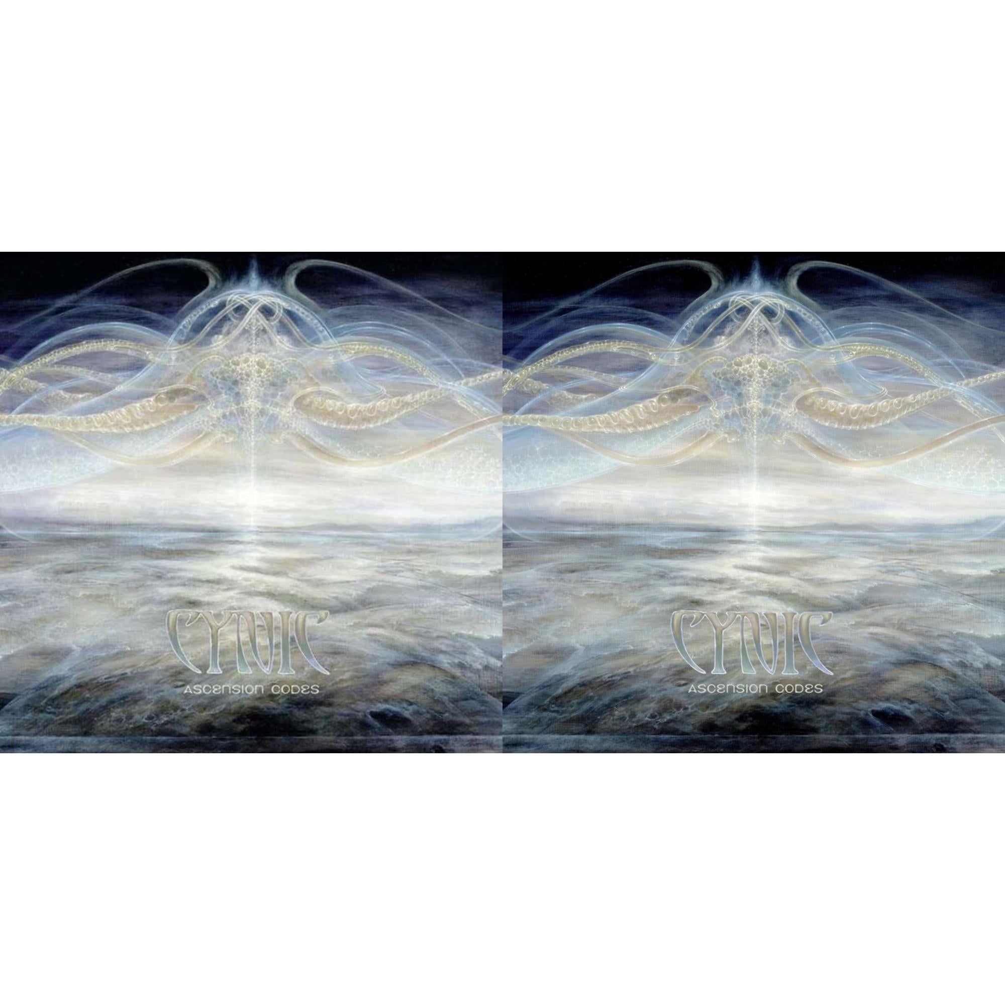 Ascension Codes (2LP) & Ascension Codes (Gold Vinyl/2LP)