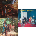 Bayou Country (180G/Half Speed Master) & Green River (Remastered 2025) (Olive Green LP Vinyl) & Cosmo's Factory (Remastered 2025) (Apple Red LP Vinyl)