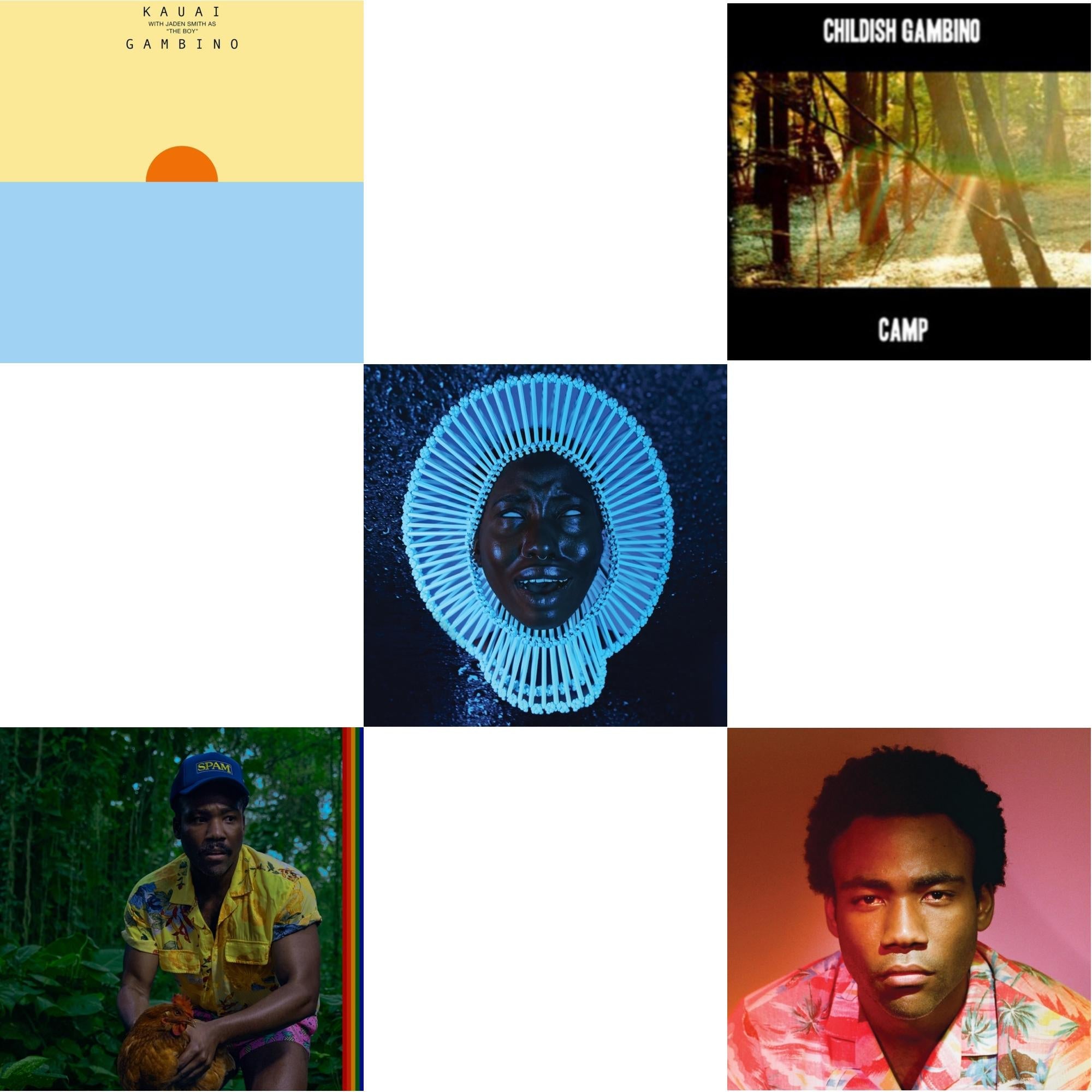 Bando Stone & The New World (X) (2LP/Opaque Black Vinyl) & Because The Internet & Kauai & Awaken, My Love & Camp