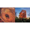 Ferment (LP/12Inch) & Happy Days (2LP)