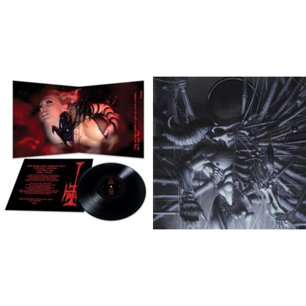 Danzig 5: Blackacidevil (Black LP Vinyl) & 777: I Luciferi
