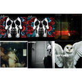Deftones & Deftones (X) (20Th Anniversary/Ruby Red LP Vinyl) & Koi No Yokan & Saturday Night Wrist & Covers & Diamond Eyes