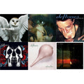 Saturday Night Wrist & Adrenaline & Around The Fur & Deftones & Koi No Yokan & Diamond Eyes
