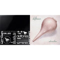 White Pony (X) (20Th Anniversary Deluxe Edition/4LP) (I) & Adrenaline