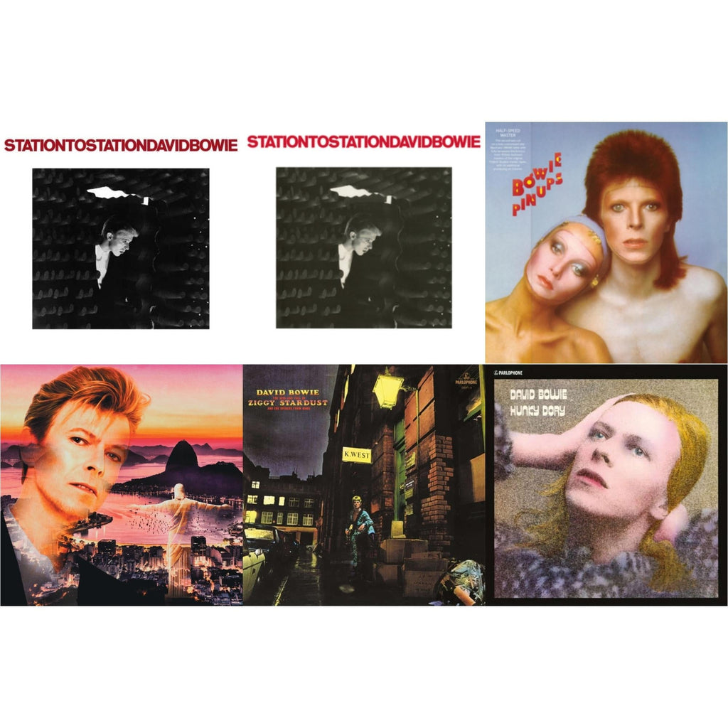 Station To Station (2016 Remastered Version) & Station To Station (2016 Remaster) & Pinups (2015 Remaster) & Live In Rio (Limited Edition/Red/White Splatter LP Vinyl) & Rise & Fall Of Ziggy Stardust (2012 Remaster) & Hunky Dory