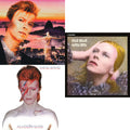 Live In Rio (Limited Edition/Red/White Splatter LP Vinyl) & Aladdin Sane & Hunky Dory