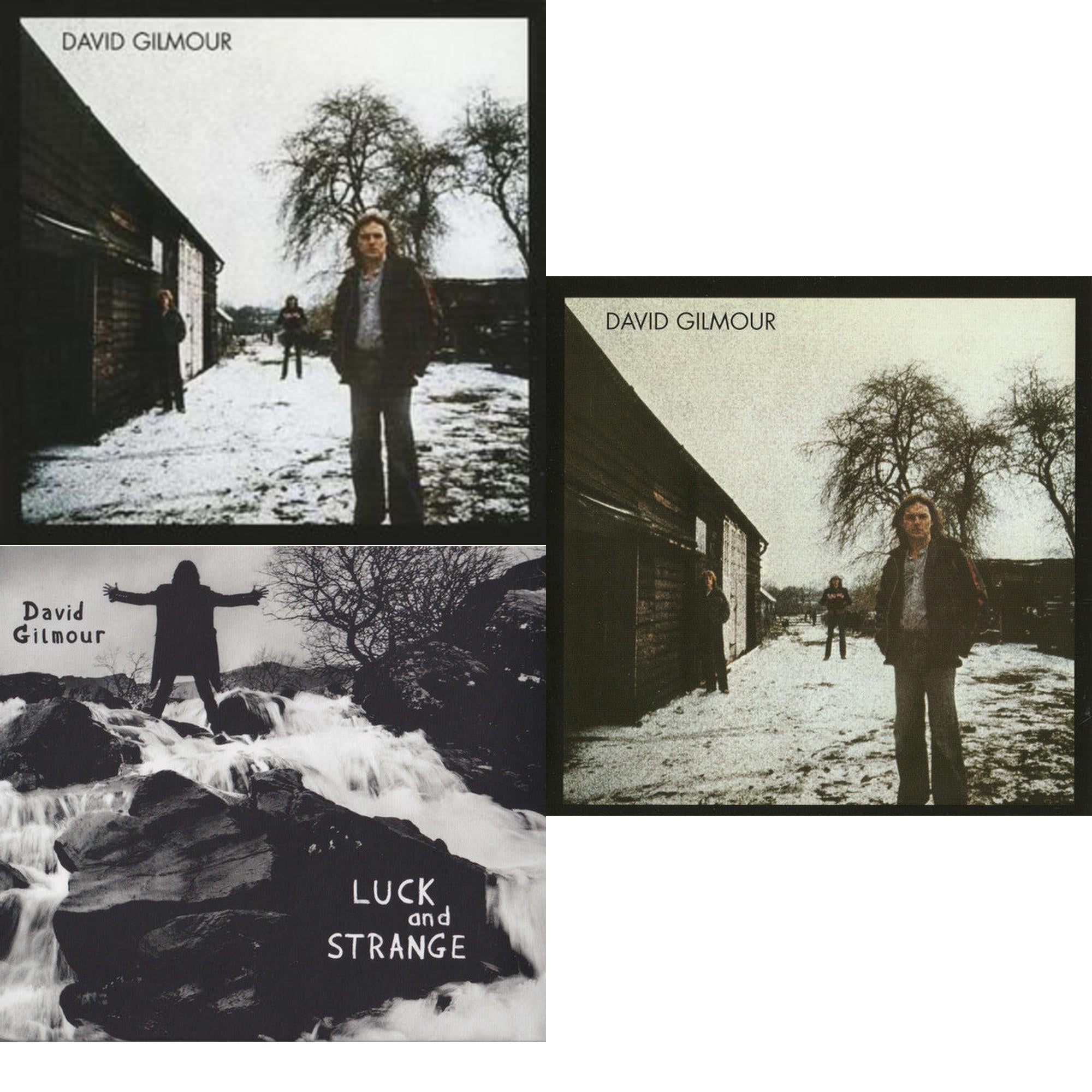 David Gilmour & Luck & Strange & David Gilmour