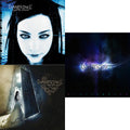 Fallen & Open Door & Evanescence