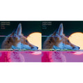 This is a 2 LP Vinyl SKU bundle.
1.This LP Vinyl is brand new.Format: LP VinylMusic Style: Alternative RockThis item's title is: Man Alive (Deluxe Edition) (2LP)Artist: Everything EverythingLabel: PROPER RECORDSBarcode: 805520240673Release Date: 8/25/2023
2.