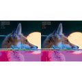 Everything Everything - Man Alive & Man Alive (Deluxe Edition) (2LP)