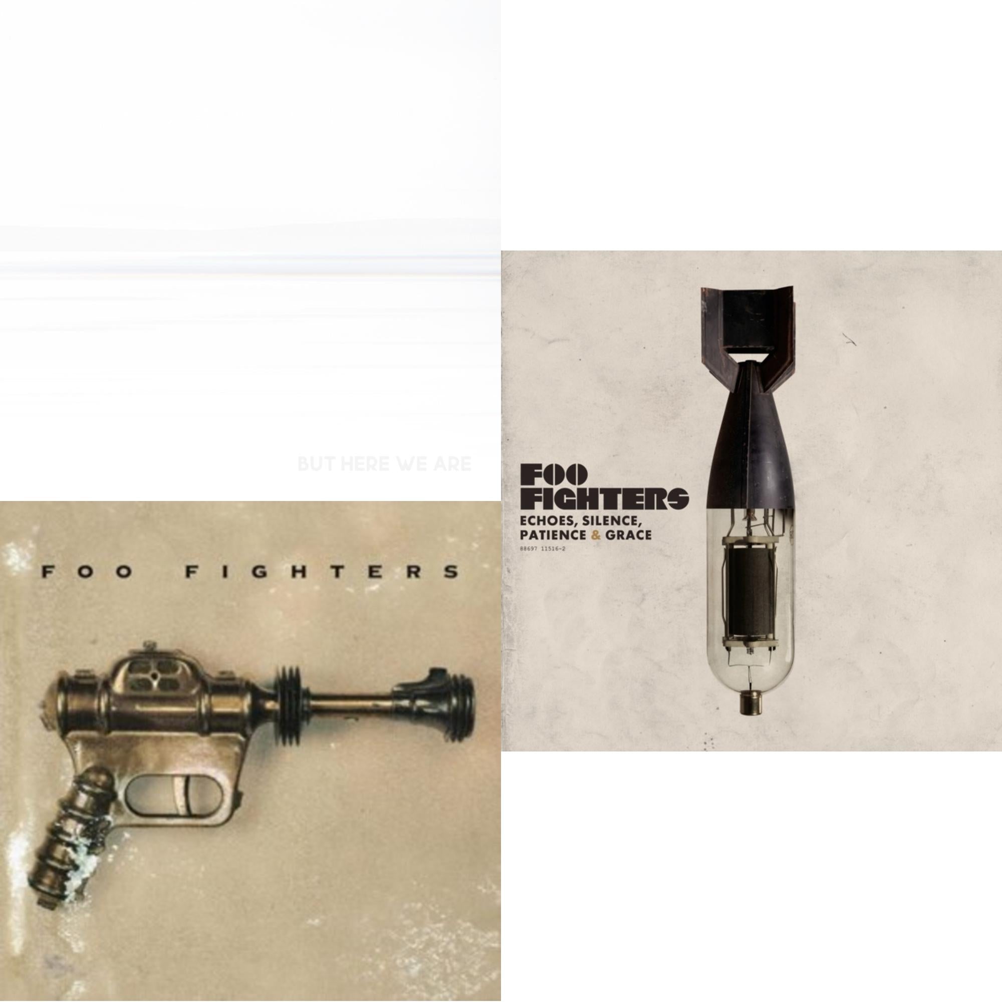 But Here We Are & Foo Fighters & Echoes Silence Patience & Grace