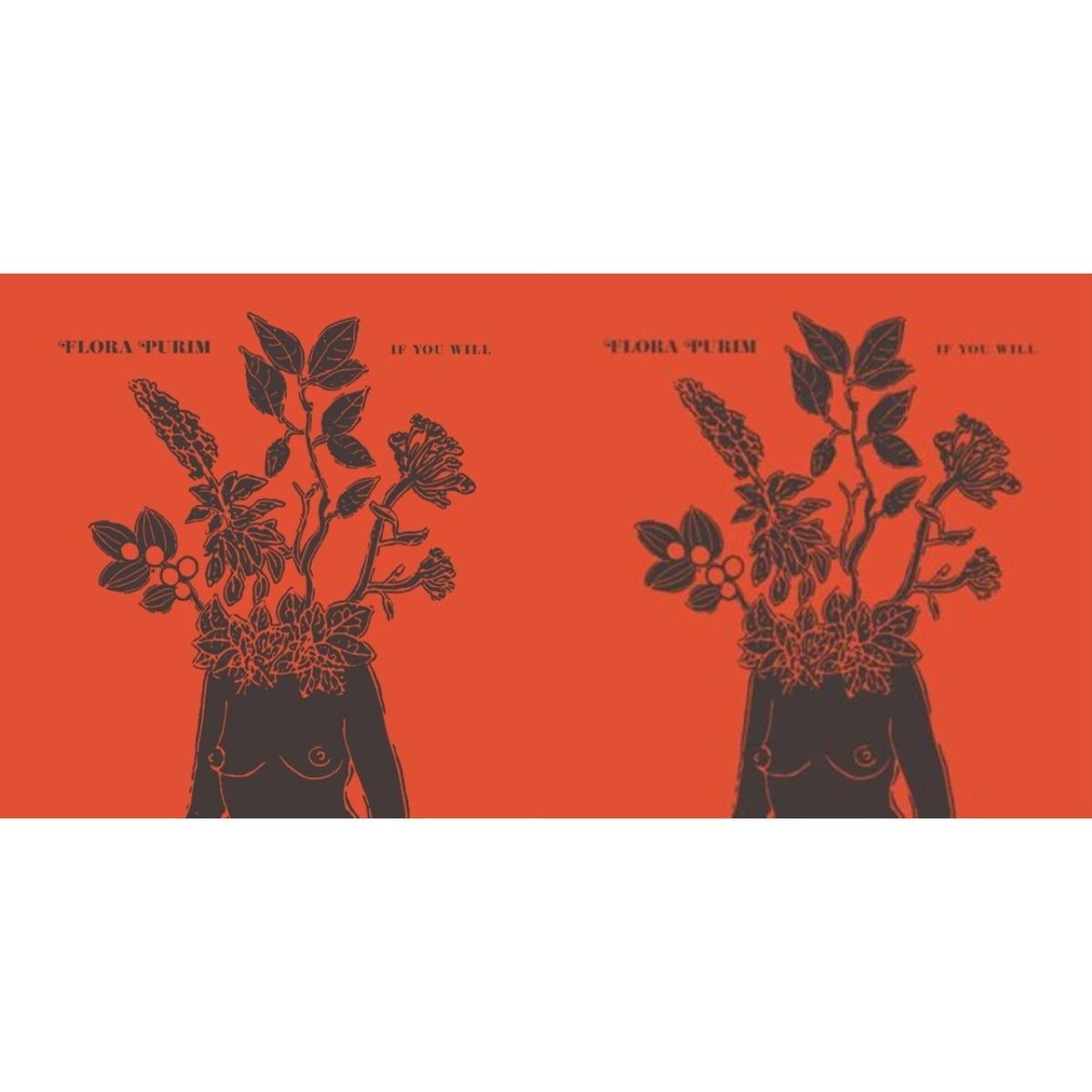 This is a 2 LP Vinyl SKU bundle.
1.This LP Vinyl is brand new.Format: LP VinylMusic Style: Bossa NovaThis item's title is: If You Will (Clear LP Vinyl)Artist: Flora PurimLabel: STRUTBarcode: 4062548038323Release Date: 6/10/2022
2.This LP Vinyl is brand new.