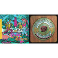 Madison Square Garden, New York, Ny 3/9/81 (Live) (3CD) & American Beauty
