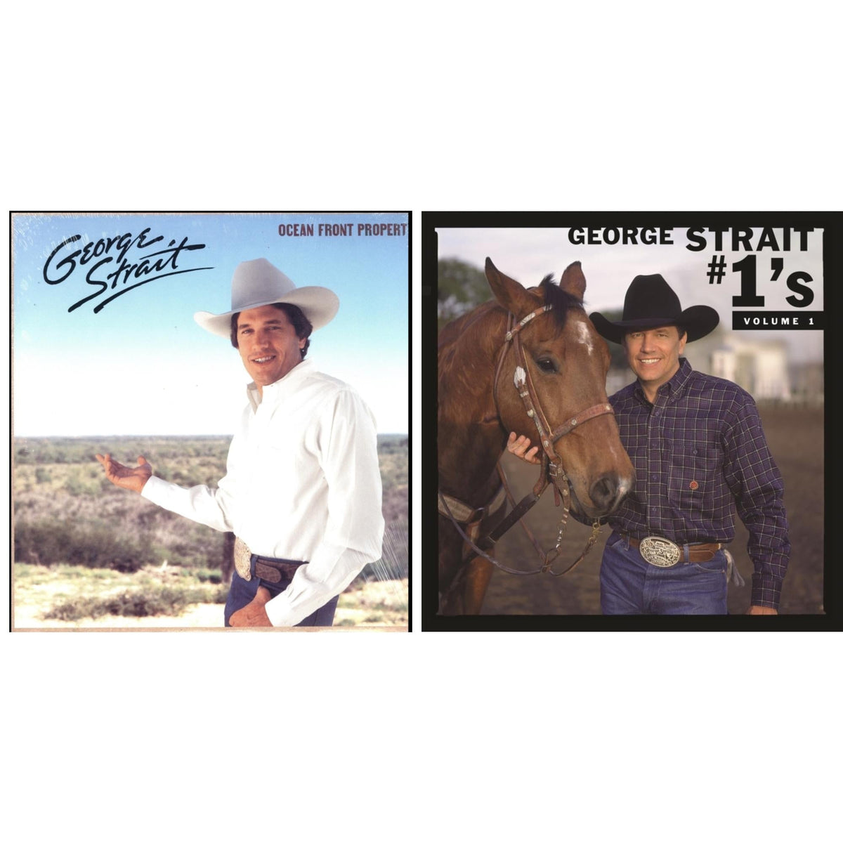 #1'S Volume 1 (Blue LP Vinyl) & Ocean Front Property (LP)