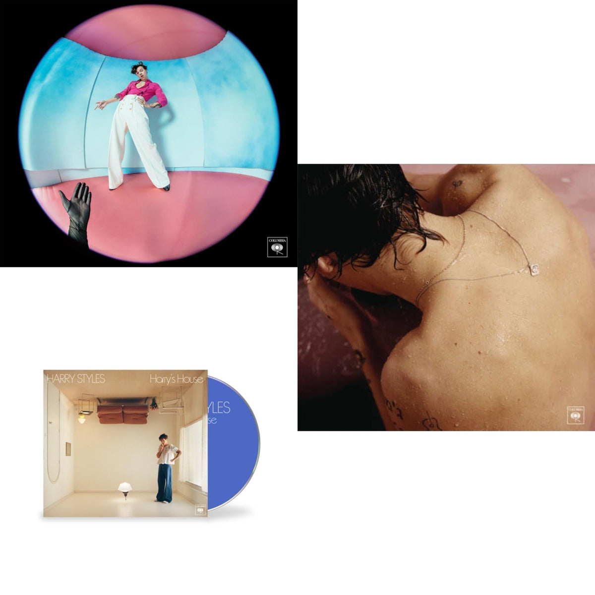 This is a 3 CD SKU bundle.
1.This CD is brand new.Format: CDThis item's title is: Fine Line (Digipak/Booklet)Artist: Harry StylesLabel: COLUMBIA RECORDSBarcode: 194397051223Release Date: 12/13/2019
2.This CD is brand new.