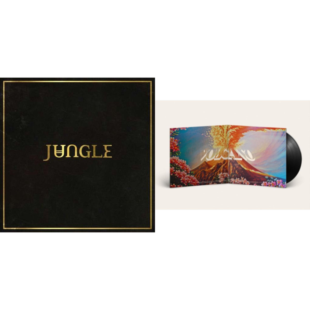 This is a 2 LP Vinyl SKU bundle.
1.This LP Vinyl is brand new.Format: LP VinylMusic Style: Neo SoulThis item's title is: JungleArtist: JungleLabel: XL RECORDINGSBarcode: 634904064716Release Date: 7/29/2014
2.This LP Vinyl is brand new.