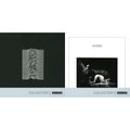 Unknown Pleasures & Closer