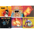 Jimi Hendrix Experience: Live At The Hollywood Bowl: August 18, 1967 & Axis: Bold As Love & Electric Ladyland & Smash Hits & Winterland & Are You Experienced