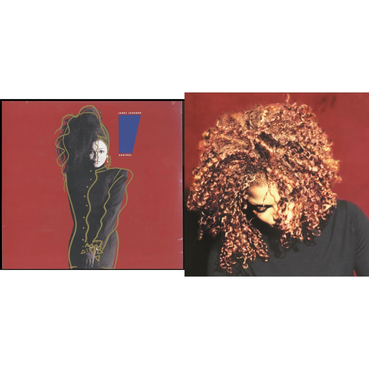 Control & Velvet Rope (2LP)