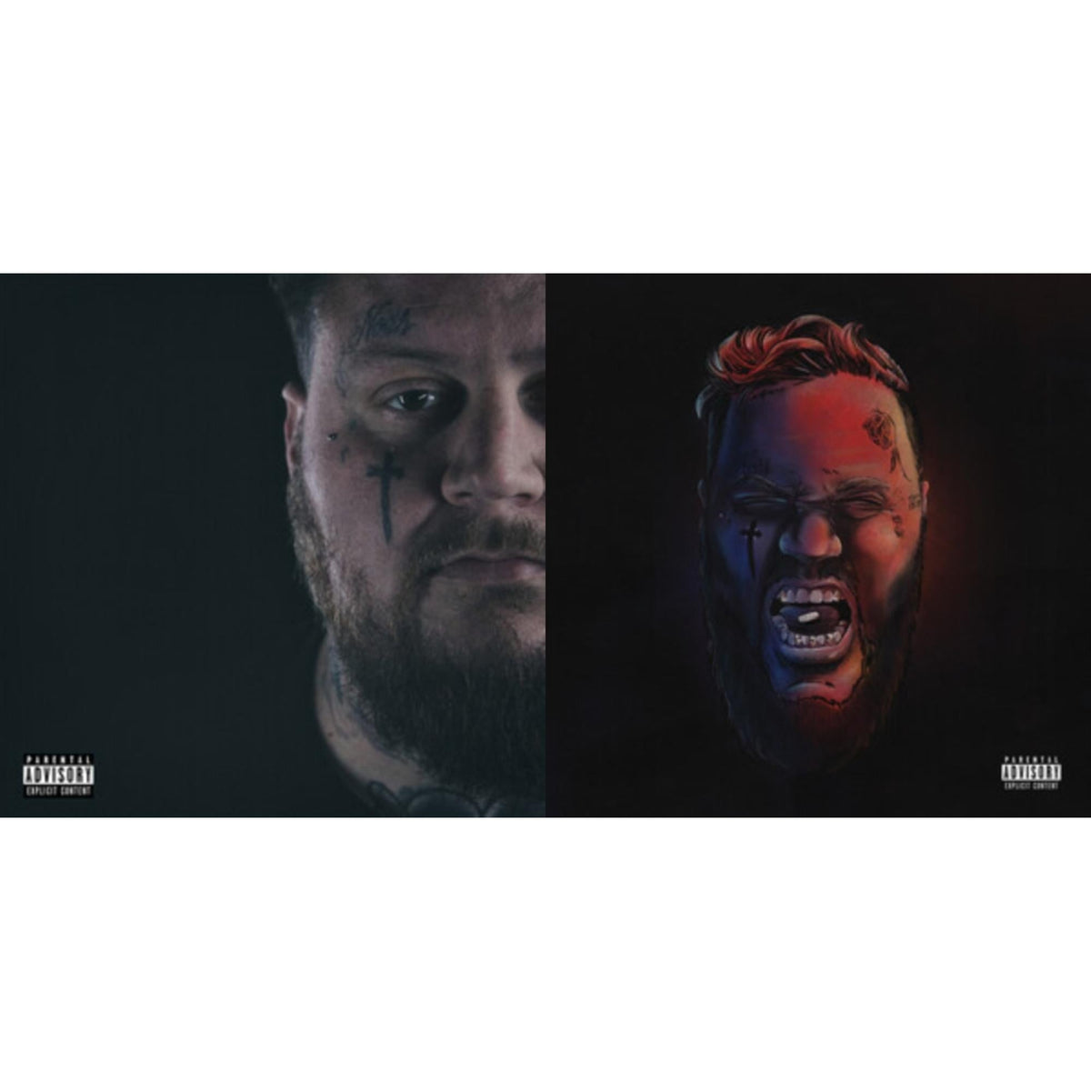 Beautiful Disaster & Self Medicated (2LP)