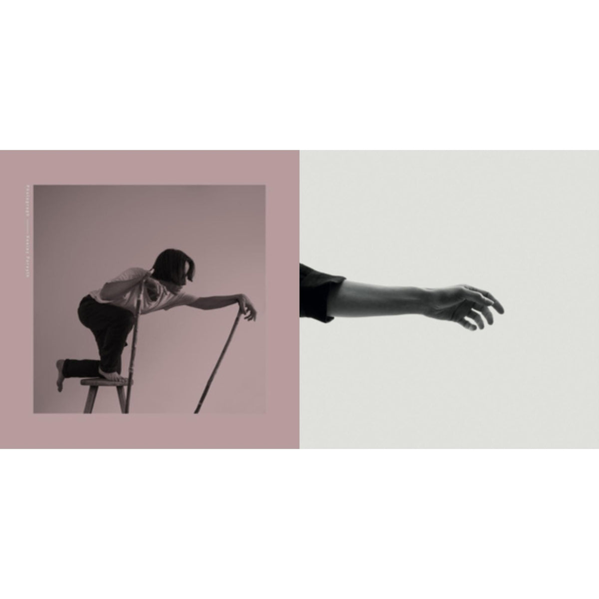 Limbs & Photograph (Dl Card)
