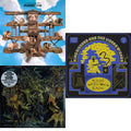 Flight B741 (Recycled Black LP Vinyl) & Murder Of The Universe (Transparent Green W/Mustard Yelow Splatter LP Vinyl) & Flying Microtonal Banana (Randomly Colored Recycled LP Vinyl)