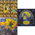 Made In Timeland & Teenage Gizzard (Blue Eco Mix LP Vinyl) & Flying Microtonal Banana (Randomly Colored Recycled LP Vinyl)