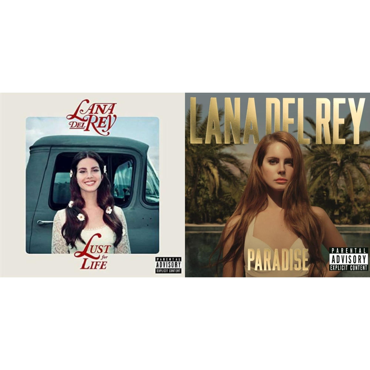 This is a 2 LP Vinyl SKU bundle.
1.This LP Vinyl is brand new.Format: LP VinylMusic Style: Indie RockThis item's title is: Lust For LifeArtist: Lana Del ReyLabel: Interscope RecordsBarcode: 602557589962Release Date: 10/6/2017
2.This LP Vinyl is brand new.