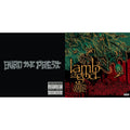 Ashes Of The Wake & Burn The Priest