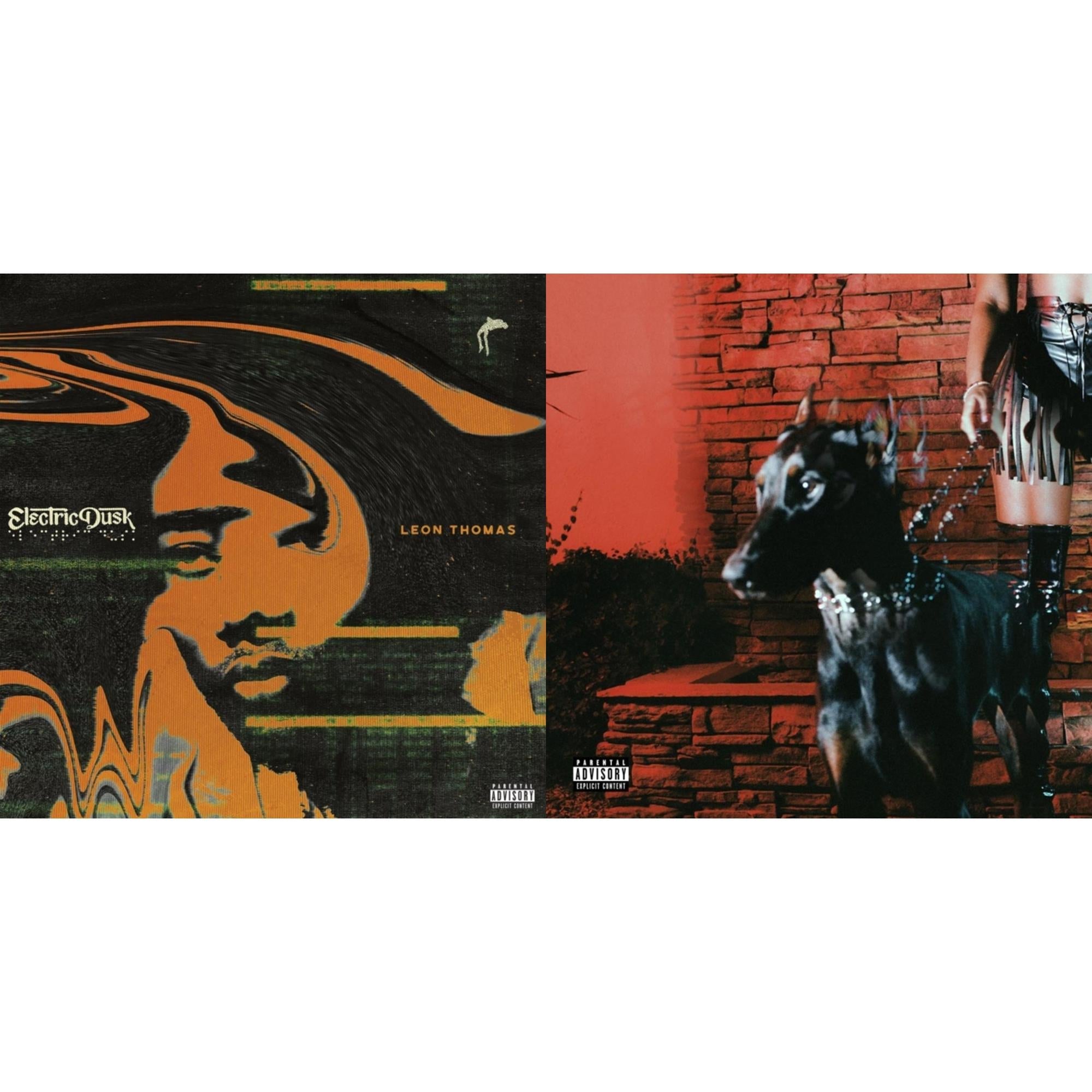 Electric Dusk (X) (Translucent Emerald Green LP Vinyl) & Mutt (X) (Black Ice LP Vinyl)