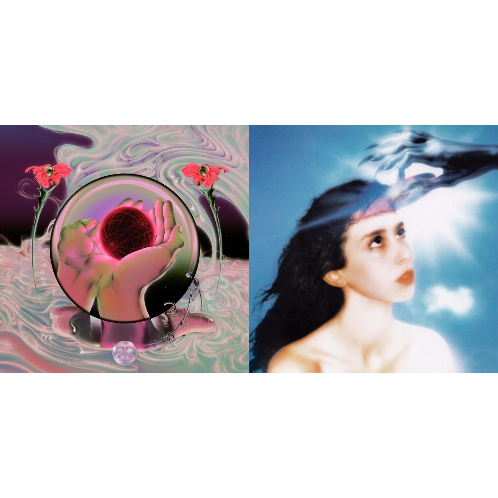 Mercurial World & Imaginal Disk