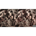 My Chemical Romance - Black Parade (X) (Picture Disc) & Black Parade (X) (2LP)