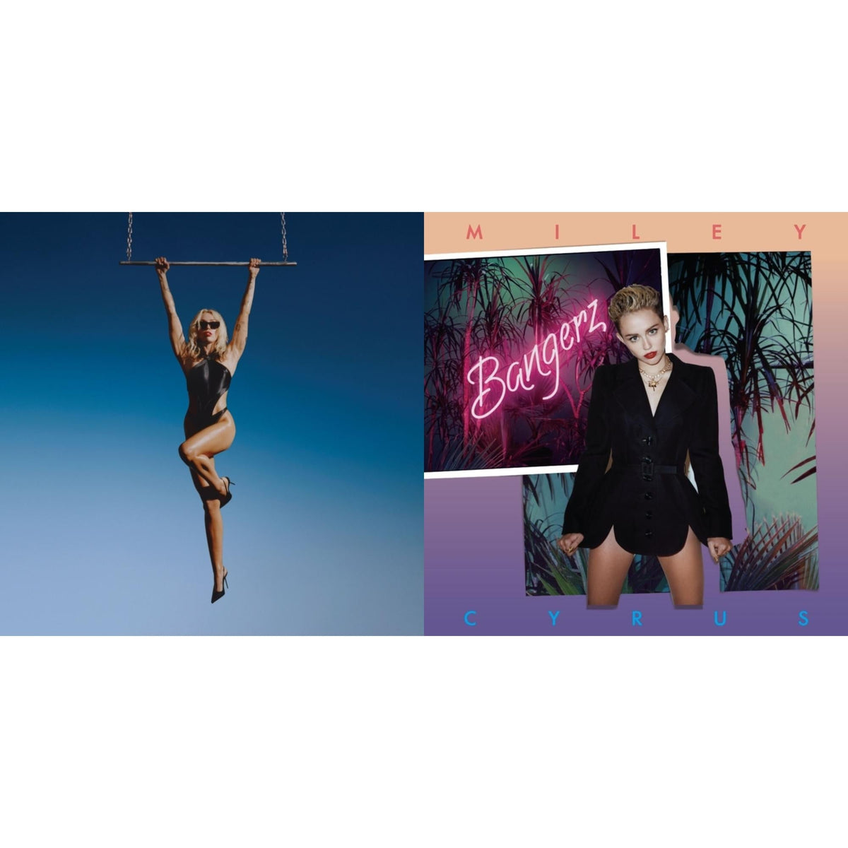 Endless Summer Vacation & Bangerz