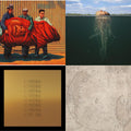 Amputechture (2LP) & De-Loused In The Comatorium (Gold & Dark Green Vinyl/2LP) & Mars Volta & Lucro Sucio; Los Ojos Del Vacio (2LP)