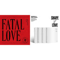 Fatal Love: Vol. 3 & Shape Of Love