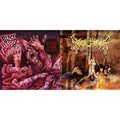 This is a 2 LP Vinyl SKU bundle.
1.This LP Vinyl is brand new.Format: LP VinylThis item's title is: Black Blood VomitoriumArtist: NecrophagiaBarcode: 8592735012356Release Date: 6/28/2024
2.This LP Vinyl is brand new.