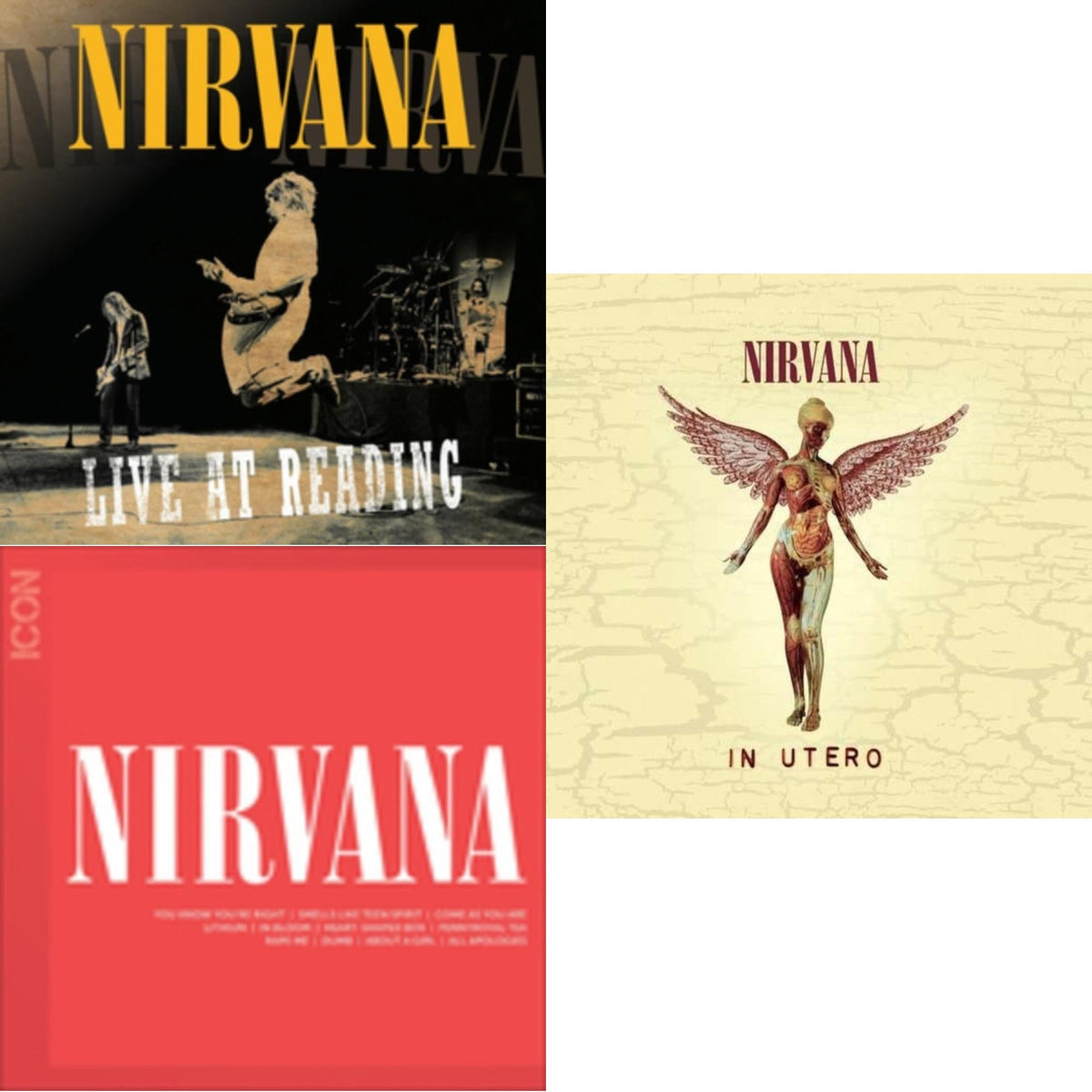 Live At Reading & Icon & In Utero