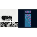 Nine Inch Nails - Pretty Hate Machine & Bad Witch (LP)