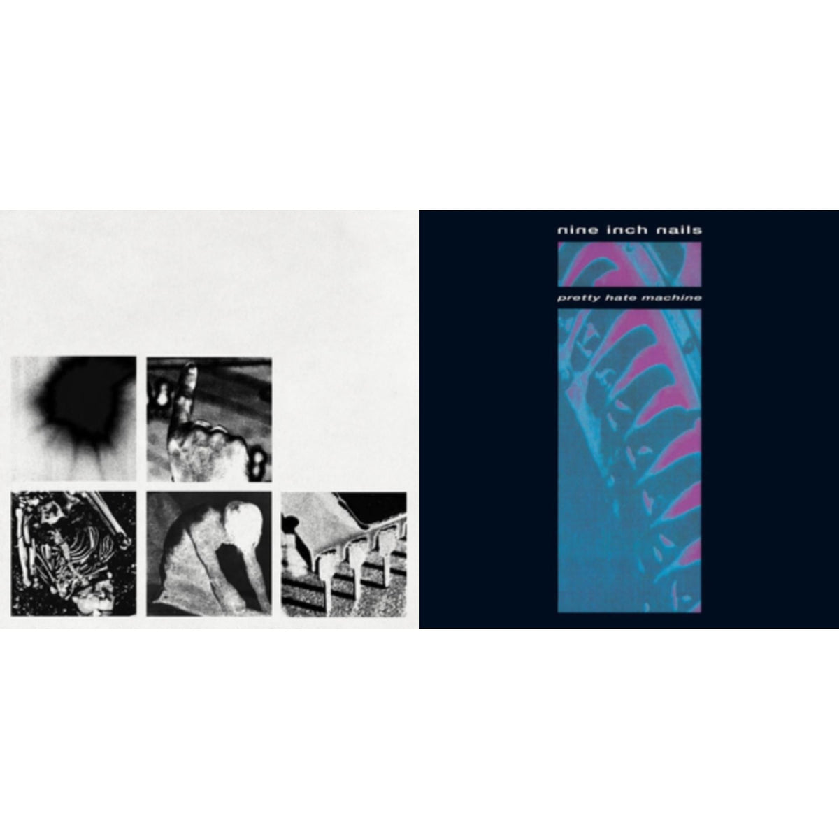 Nine Inch Nails - Pretty Hate Machine & Bad Witch (LP)