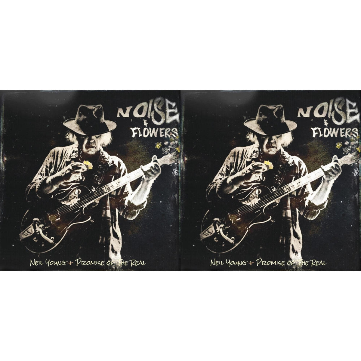 Noise & Flowers  (2LP/CD/Blu-Ray) & Noise & Flowers  (2LP)
