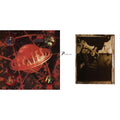 Bossanova & Surfer Rosa